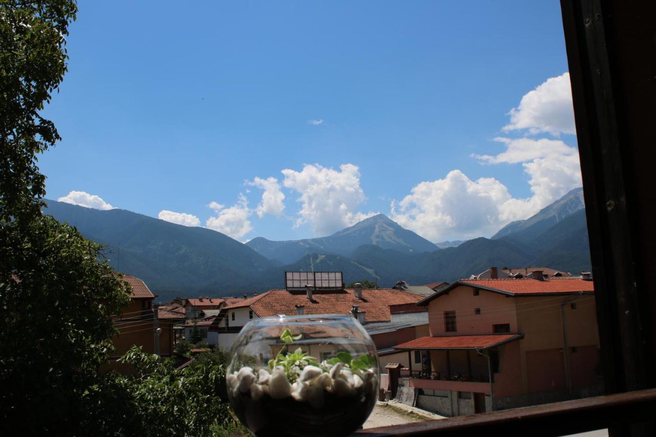 North Star Hotel Bansko Esterno foto
